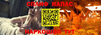 стафф Новозыбков