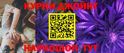 стафф Новозыбков