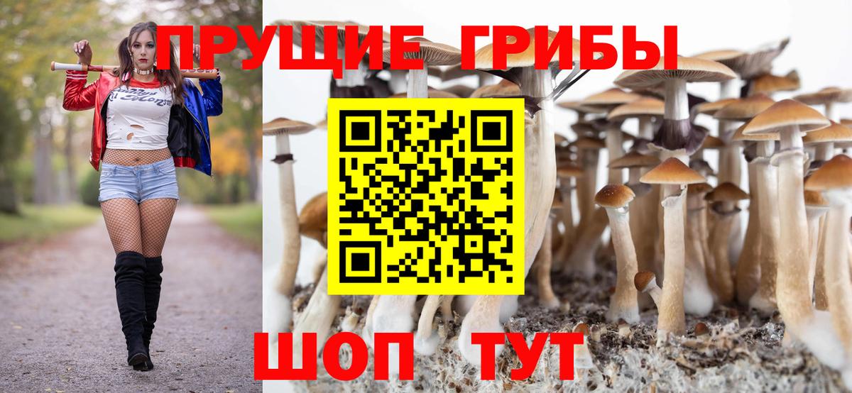 Галлюциногенные грибы GOLDEN TEACHER Орехово-Зуево